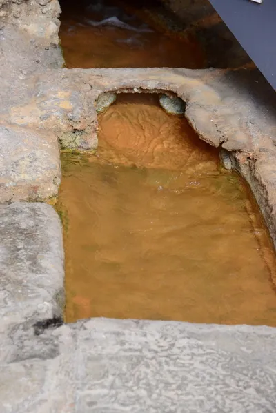 DSC_2667 (Large).JPG